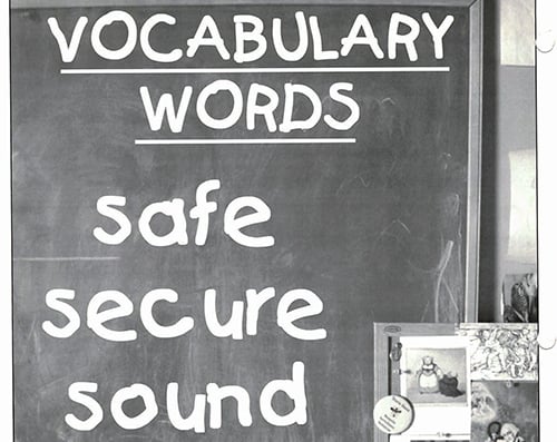 Vocabulary Words - Safe, Secure, Sound